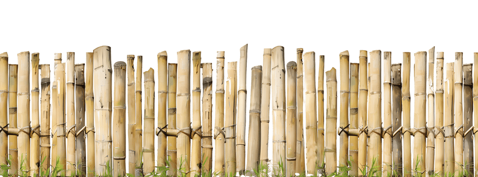 Tranquil Bamboo Wall Isolated on Transparent Backdrop png