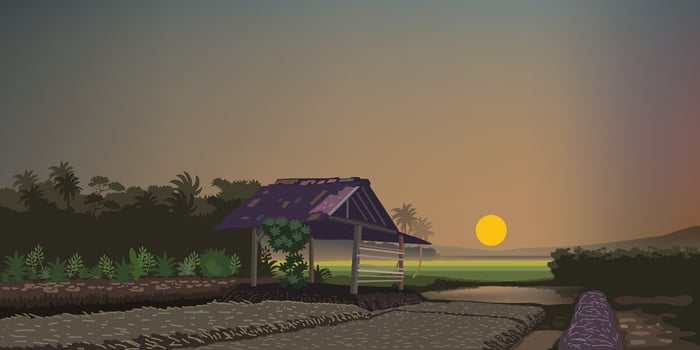 Sun set landscape view with a hut. Sun set view over paddy rice for background design. vector