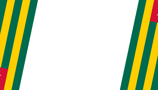 Togo flag wave png