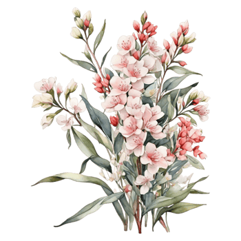 Watercolor Flower Bouquet, Watercolor Flower Arrangements Floral, Watercolor Flower Design png