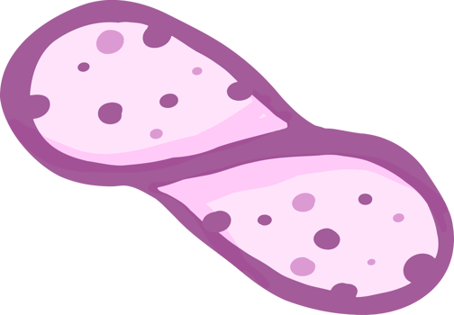 collection of taro elements png