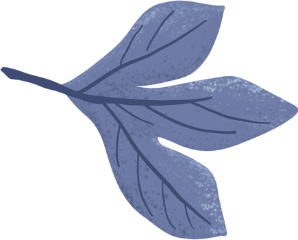 Passion fruit elements png