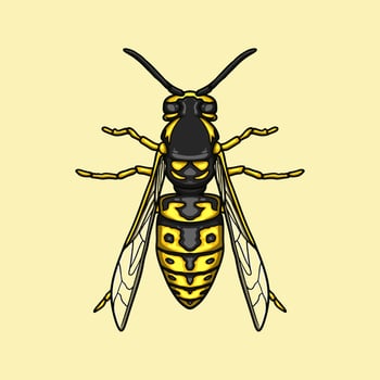 Hornet Bee Illustration Clipart vector