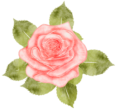 Watercolor Pink Rose png