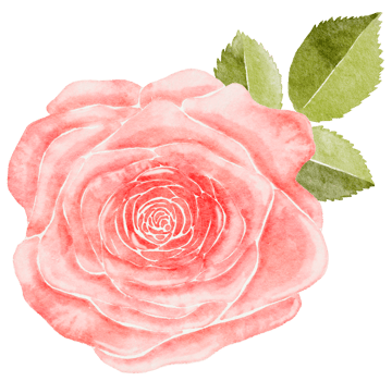 Watercolor Pink Rose png