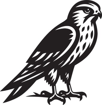 harrier bird illustration black vector