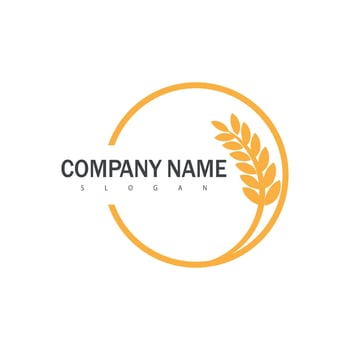 Agriculture wheat logo template and symbol vector