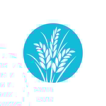 Agriculture wheat logo template and symbol vector