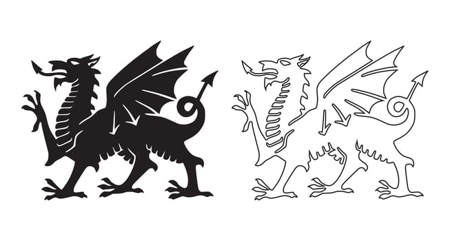 The Welsh Dragon Designs vector