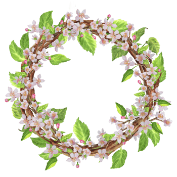 Beautiful spring garden wreath with apple tree branches. White blossoms and green leaves. Hand-drawn watercolor illustration. For postcards, stationary design, invitations. png