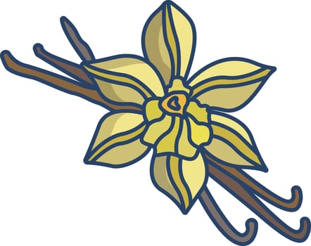 Vanilla linear color illustration vector