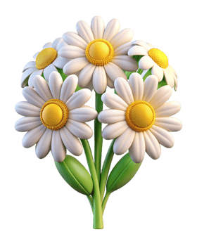 Chamomile Flower 3d Image png
