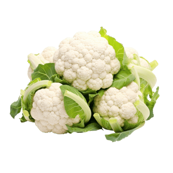 Fresh Organic Cauliflower Heads and Leaves on Isolated Background. png