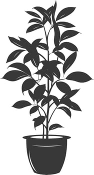 silhouette ornamental plants in pot full body black color only vector