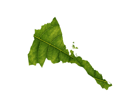 Eritrea map made of green leaves ecology concept png