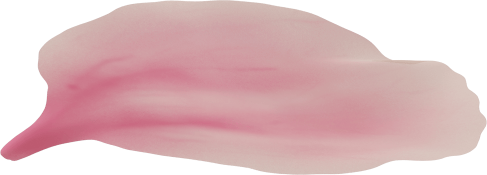 pink cherry blossom petal png