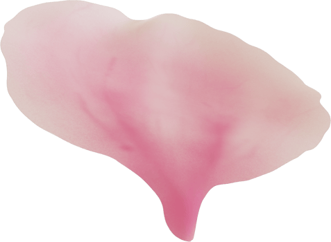 pink cherry blossom petal png