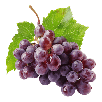 grapes on a branch with leaves png