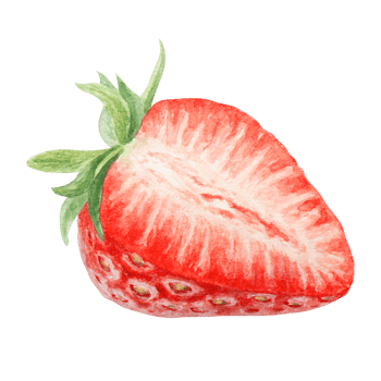 Red strawberry half, slice hand drawn watercolor illustration. Delicious food art, fresh botanical realistic painting. Summer berry clipart for cafe menu, packaging of farm goods, vegan products png