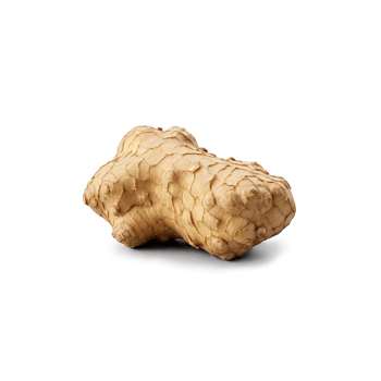 Fresh ginger root light brown skin textured surface irregular shape Food and culinary concept png