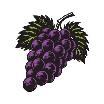 Grapes Art Illustration vector