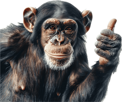 Chimpanzee Giving Thumbs Up Gesture. png