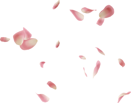 flying pink rose petal png
