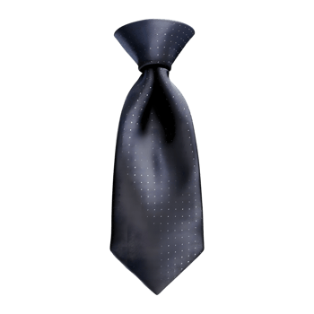 Tie on Transparent Background png