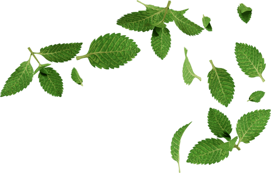 flying mint leaves png