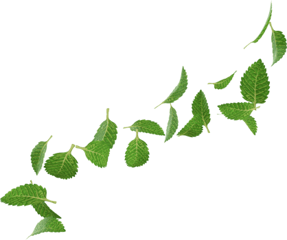 falling green peppermint png