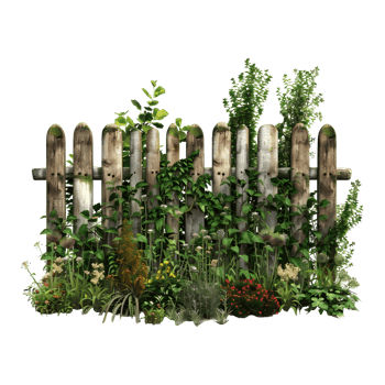 Wooden Fence with Grass and Flowers Outdoor on Transparent Background png