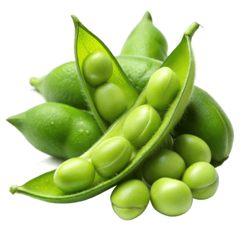 Fresh green edamame beans on transparent background png