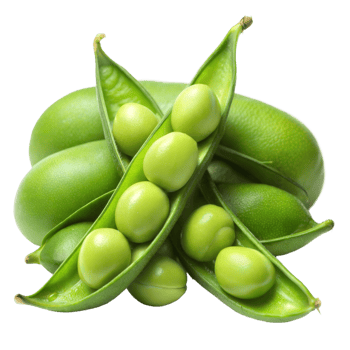 Fresh green peas in pods on a transparent background png