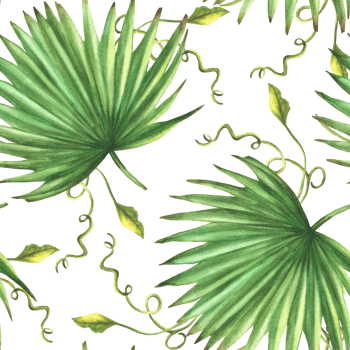 Palm leaves with curly exotic creeper. Tropical green seamless pattern Watercolor hand drawn illustration of evergreen plants. Botanical realistic print for fabric, wallpaper on isolated background. png