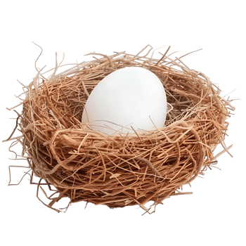 Bird Nest with Egg on Transparent Background png