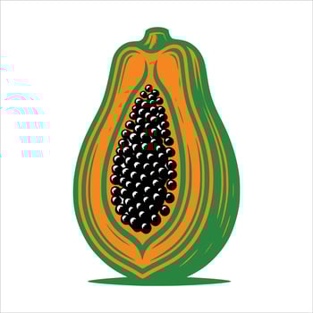 Papaya Art Illustration vector