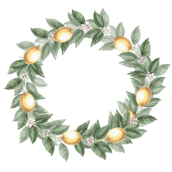 Lemon branch decorated into a wreath in a watercolor illustration . Hand drawn lemons for cookbooks, lemonade, restaurant menu design, bar, cards. png