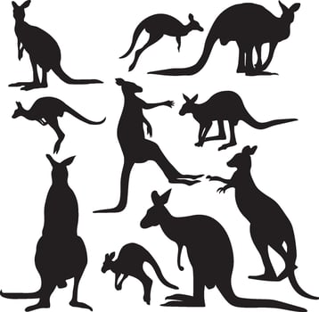 Kangaroo silhouette stock illustration vector