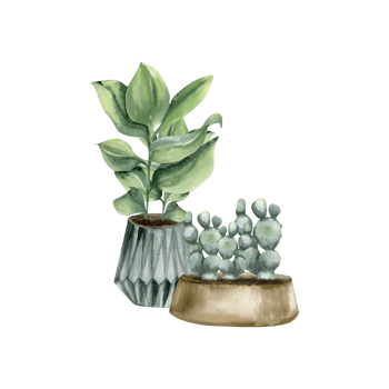 Home green plants in pots watercolor illustration. Urban jungle floral elements with cactus and palm, house potted plants composition for poster, interior design, eco stickers, flower shop png