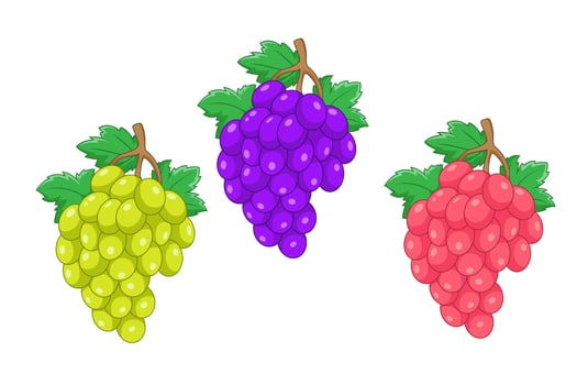Cartoon set of grapes fruit on white background vector