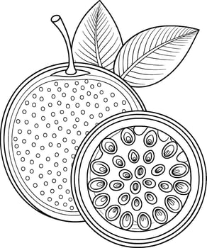 Coloring Page for Kids - Passion Fruit - Black and White Line Art vector