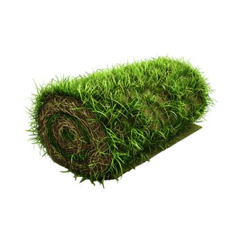 Roll of Grass on Transparent Background png