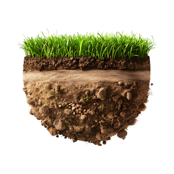Soil with Grass on Transparent Background png