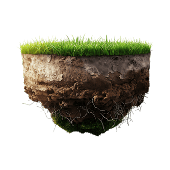 Soil with Grass on Transparent Background png