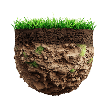Soil with Grass on Transparent Background png