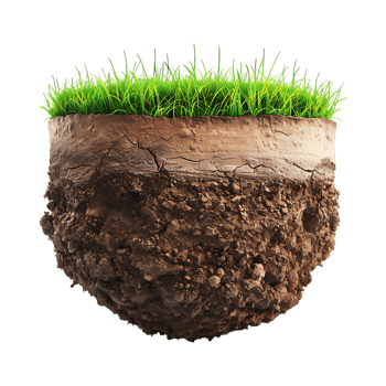Soil with Grass on Transparent Background png