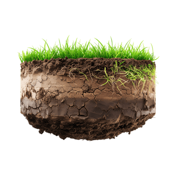 Soil with Grass on Transparent Background png