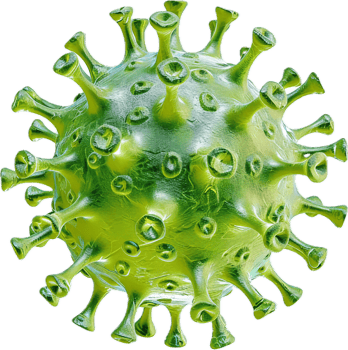 Close-up of green virus cell. png