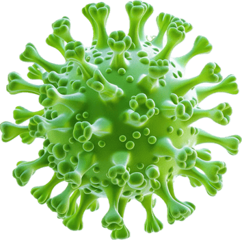 Close-up of green virus cell. png