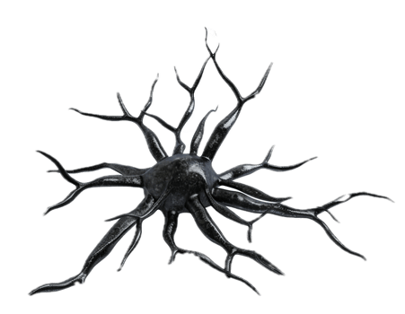 Microscopic View of Human Neuron Cell. png